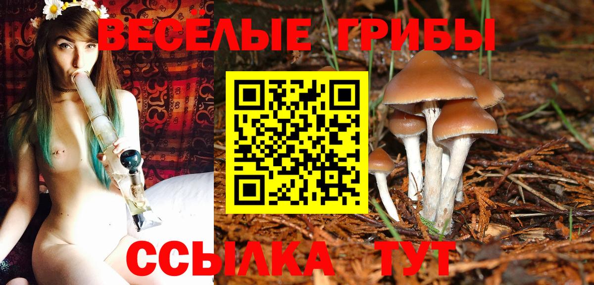 Псилоцибиновые грибы ЛСД  Вход с VPN  Тимашёвск 